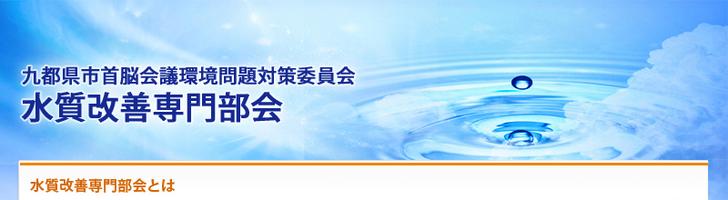 九都県市首脳会議環境問題対策委員会　水質改善専門部会